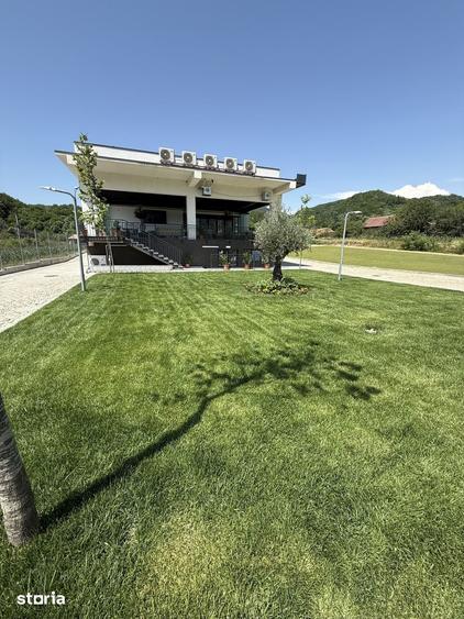 Teren de 13000 mp, în Bujoreni