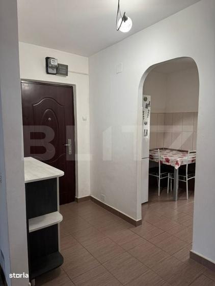 Apartament cu 3 camere decomandat în Viișoara