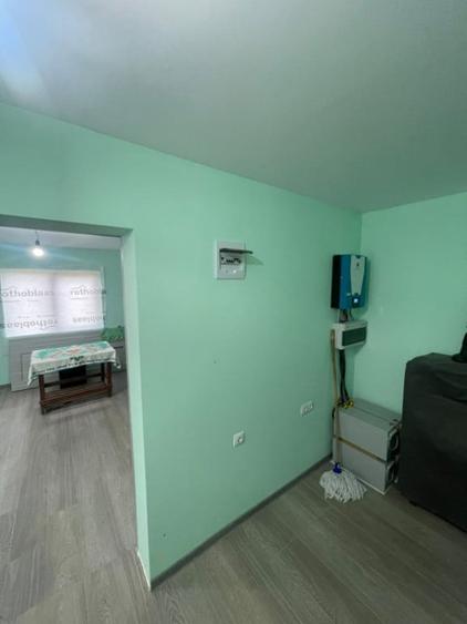 Cabana de vacan?a cu teren generos de 83 ari Bor?a, - 8