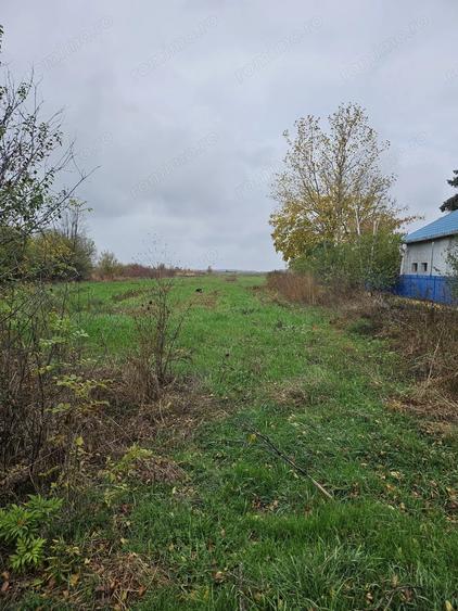 Teren de 18469 mp, în Butimanu