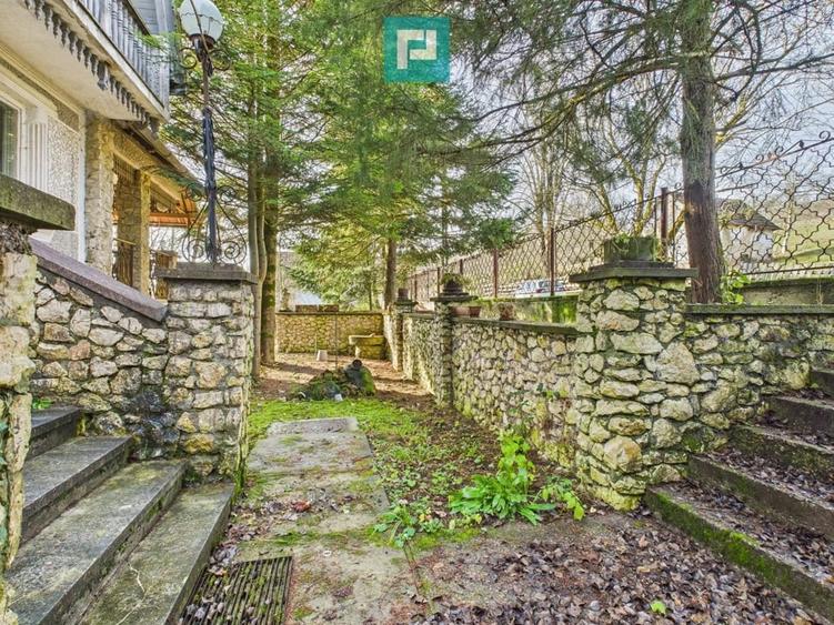 Casa P+E+M cu teren 8163 mp Rosia Noua (Petris) - 11