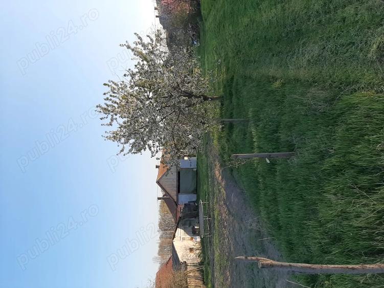 Casă cu 2 camere cu Teren 2000 Mp în Central