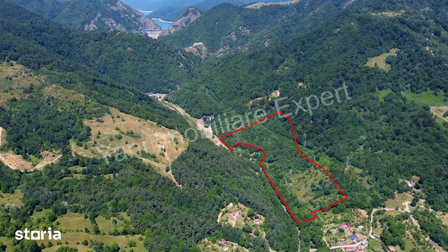 Teren de vanzare pe Transfagara?an ( 75.200 mp ) - 15