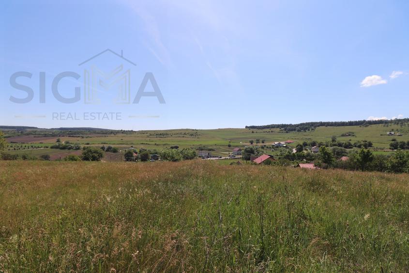 Teren Construcții intravilan de 3834 mp, în Băbuțiu
