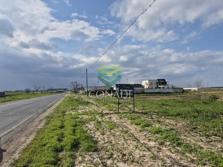 Teren Construcții intravilan de 2010 mp, în Frumușani