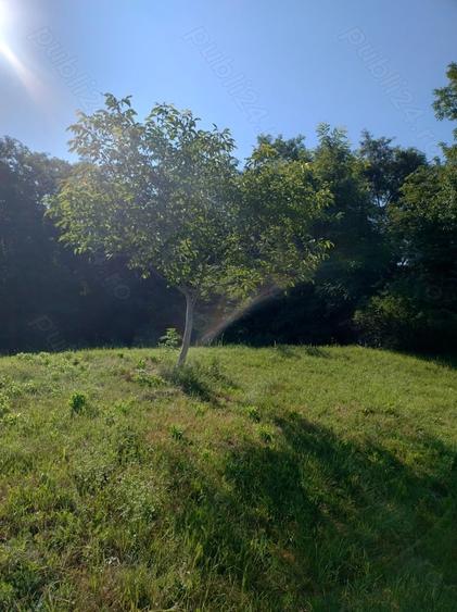 Teren în Valea Albă