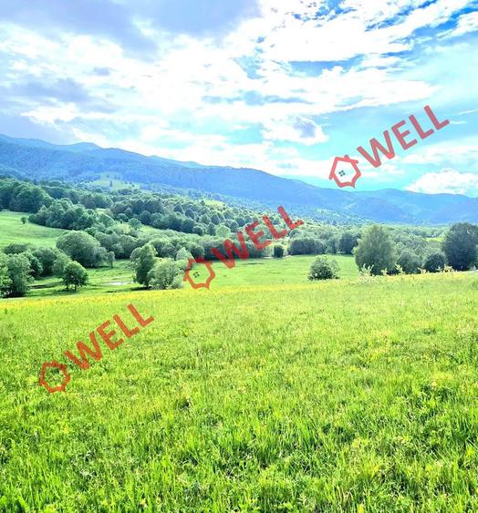Teren agricol extravilan de 9289 mp, în Vama Buzăului