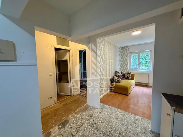 Apartament 3 camere de vanzare, zona Lipovei, Timisoara - 11