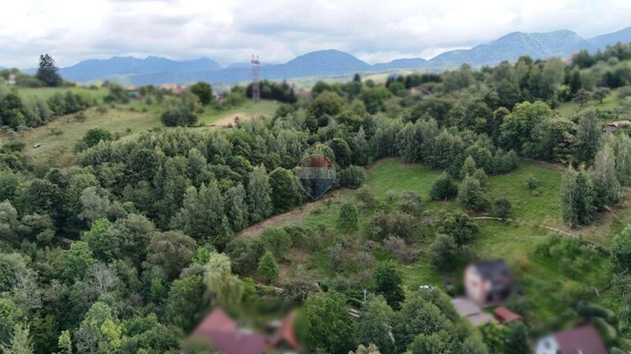 Teren Construcții intravilan de 2700 mp, în Sohodol