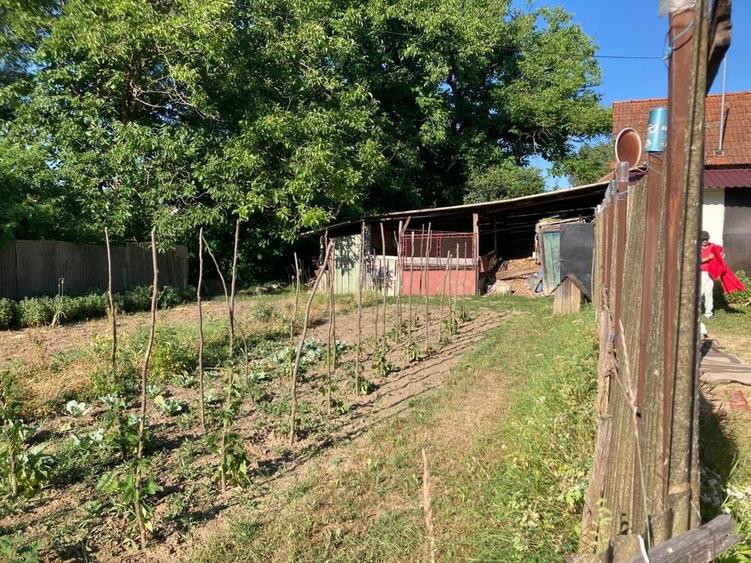 Casă cu 3 camere în Silvașu de Jos