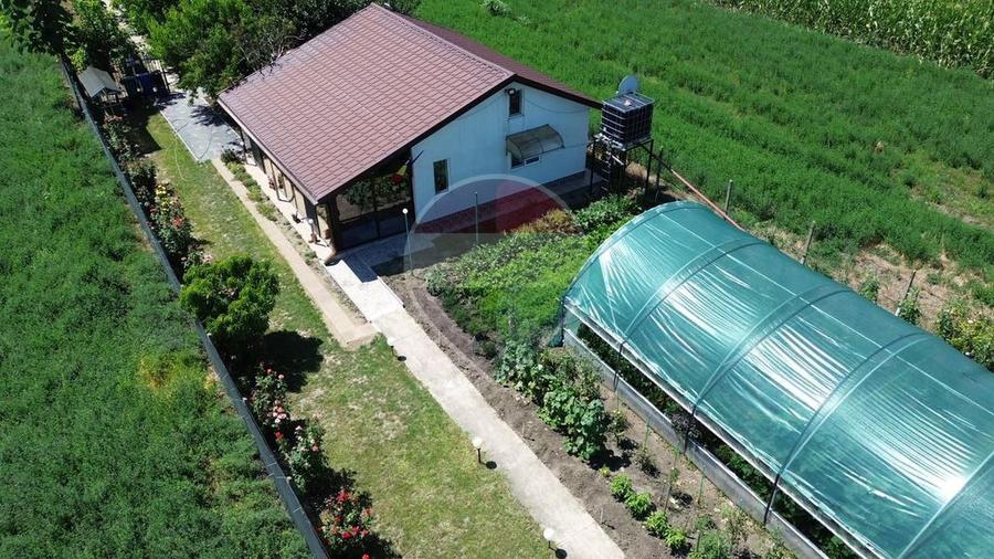 Casă cu 2 camere cu Teren 6943 Mp în Gologanu