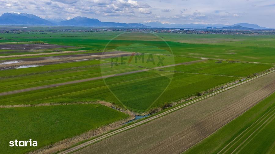 Teren de 4000 mp, în Prejmer