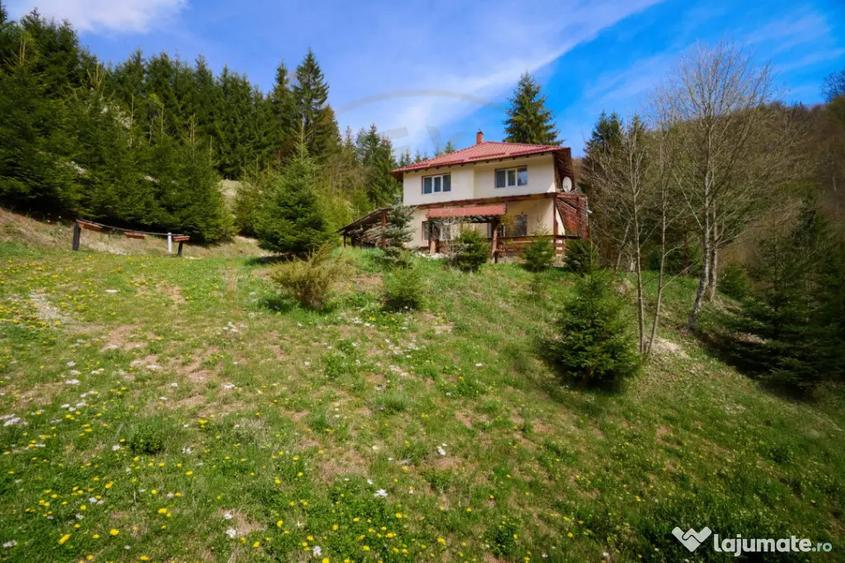 Casă cu 5 camere cu Teren 6412 Mp în Dâmbovicioara