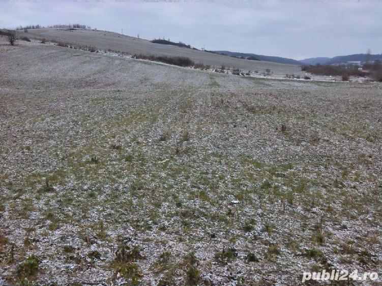 Teren de 5450 mp, în Vânători