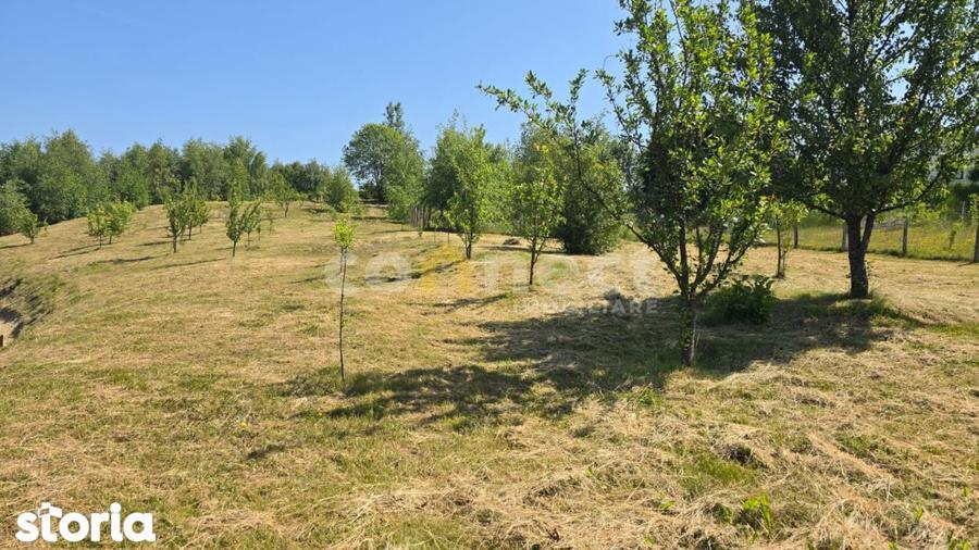 Teren de 1000 mp, în Făget