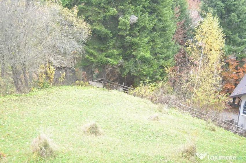 Teren de 1300 mp, în Valea Alba