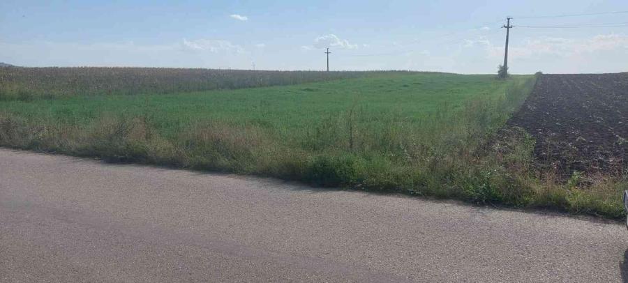 Teren Construcții intravilan de 5800 mp, în Gligorești