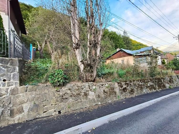 Teren Construcții intravilan de 3477 mp, în 1 Mai