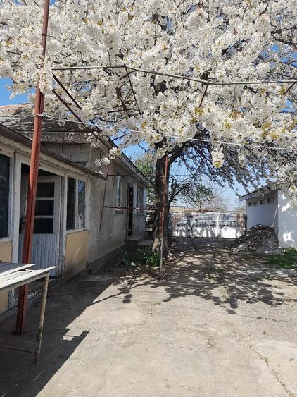 Casă cu Teren 1600 Mp în Cosmești