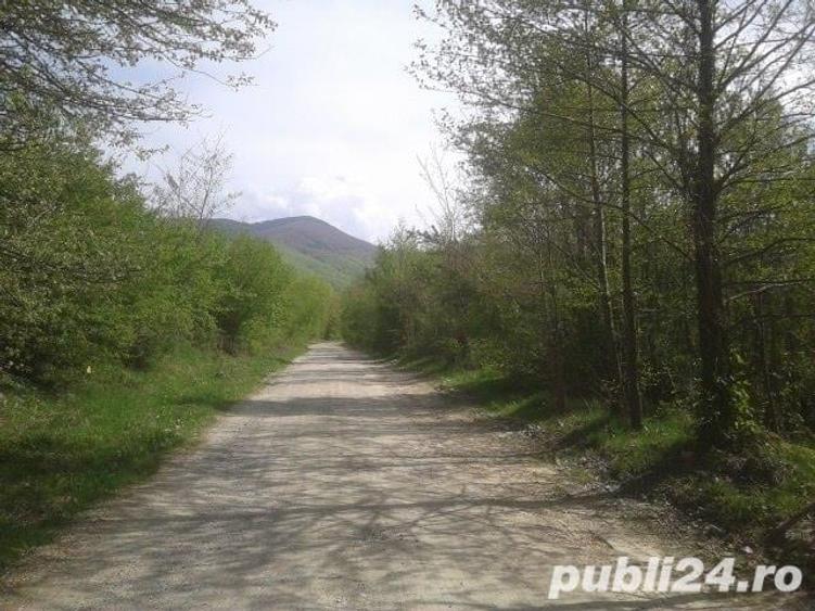 Teren de 1900 mp, în Sud