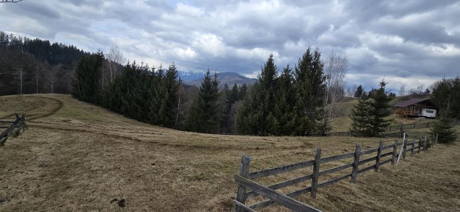 Teren Construcții intravilan de 3040 mp, în Bran