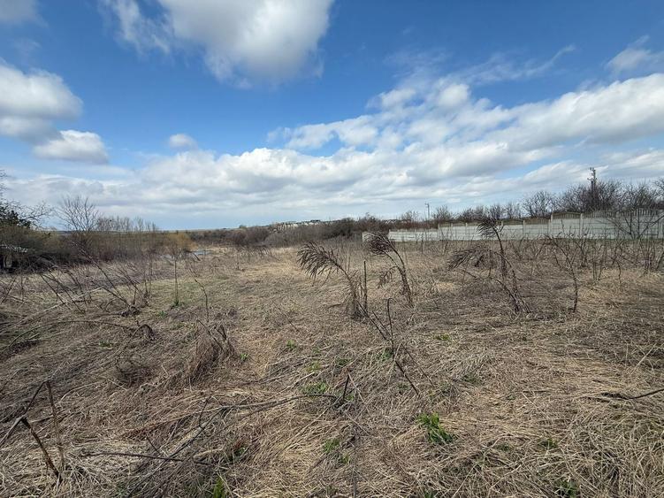 Teren Construcții intravilan de 2700 mp, în Căciulați