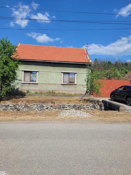 Casă cu 4 camere în Criciova