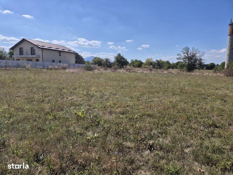 Teren intravilan- 1000mp- Harman-Brasov - 4