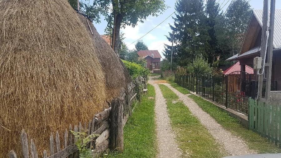 Teren de 1700 mp, în Pietroșița