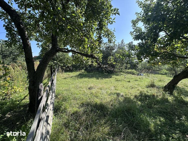 De vanzare: casa in inima unei superbe zone de deal, Valeni-Dambovita - 15
