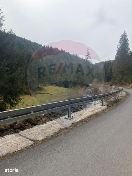 Teren de 4331 mp, în Arieșeni