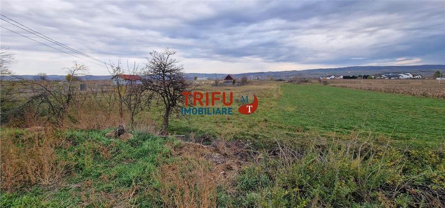 Teren Construcții intravilan de 2160 mp, în Partoș