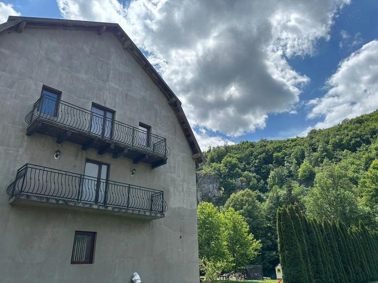 Casă cu 8 camere cu Teren 4000 Mp în Bălnaca