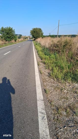 Teren de 28500 mp, în Dumbrava