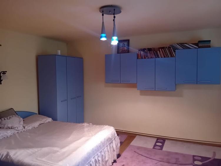 Teren intravilan 68 Ari cu Casa 80 mp Viile Satu Mare - 6