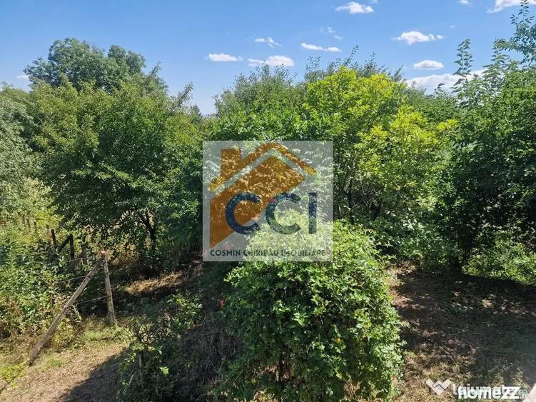 Casă cu 5 camere cu Teren 10426 Mp în Est