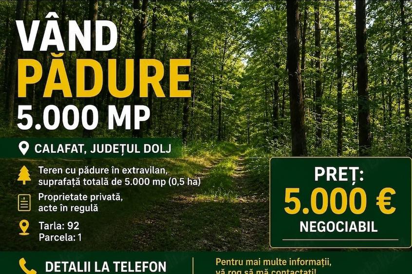 Teren de 5000 mp, în Central