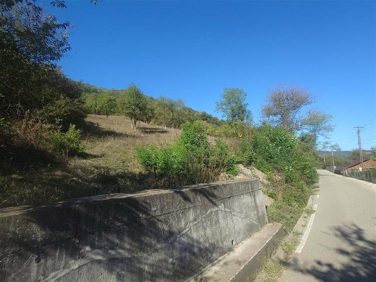 Teren Construcții extravilan de 14075 mp, în Crișcior