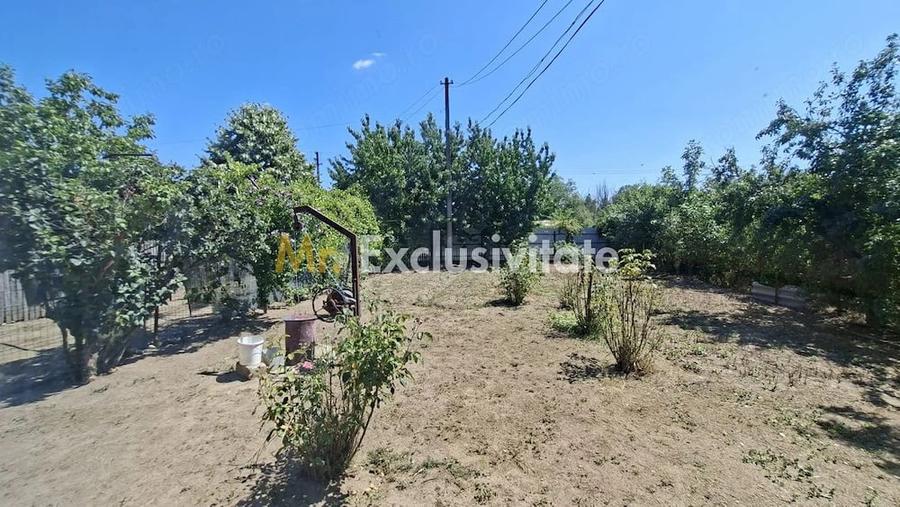 Casă cu Teren 1667 Mp în Teiu