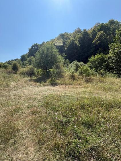 Teren agricol intravilan de 3000 mp, în Nord