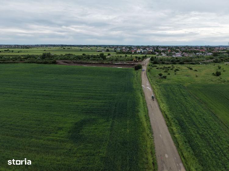 Teren de 5000 mp, în Ciorogârla