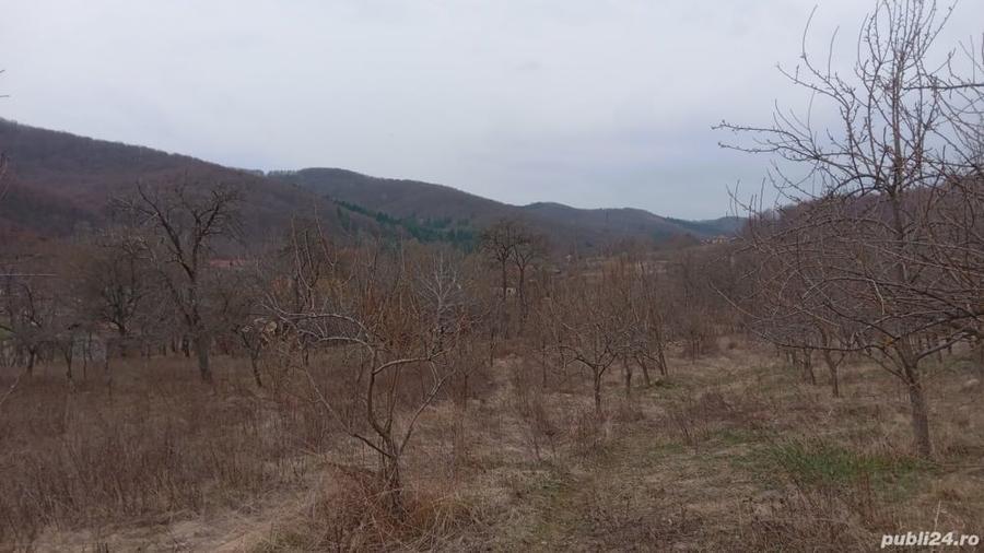 Teren de 4000 mp, în Tutana