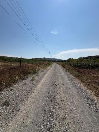 Teren Construcții intravilan de 775 mp, în Ortelec