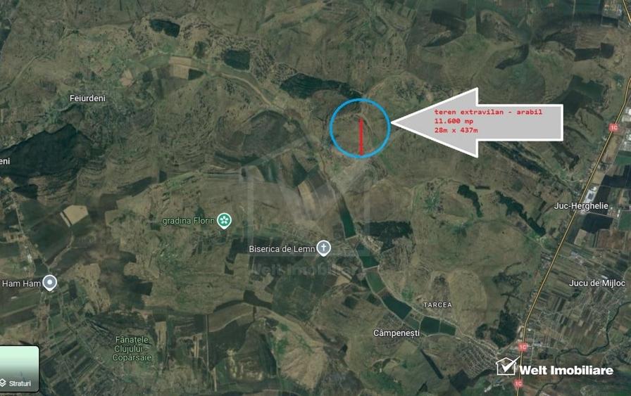 Teren agricol extravilan de 11600 mp, în Feiurdeni