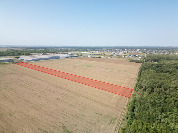 Teren Construcții intravilan de 21500 mp, în Brănești