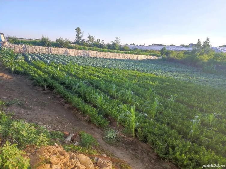 Casă cu 4 camere în Matca