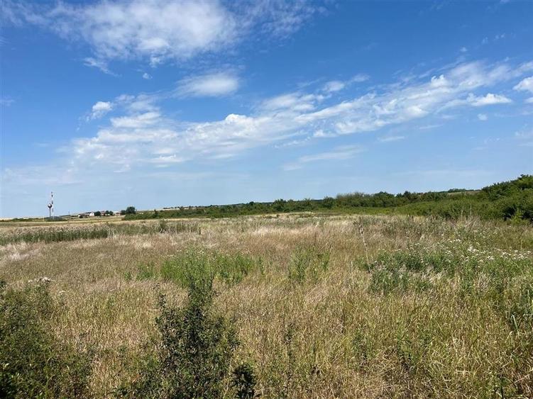 Teren Construcții intravilan de 39000 mp, în Leș