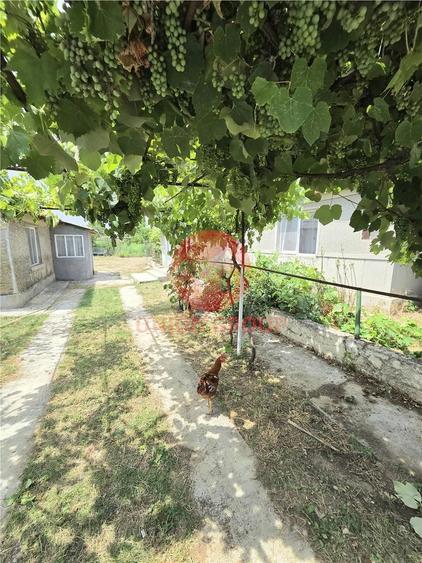 Casă cu 2 camere cu Teren 988 Mp în Vadu