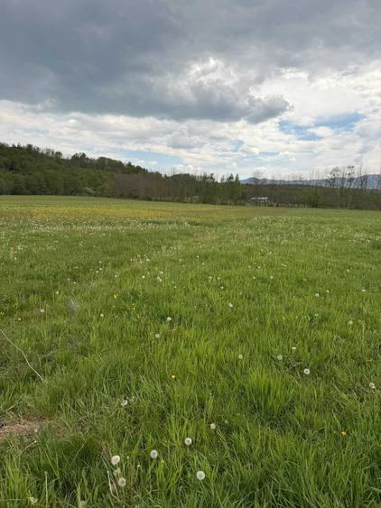 Teren de 3000 mp, în Șinca