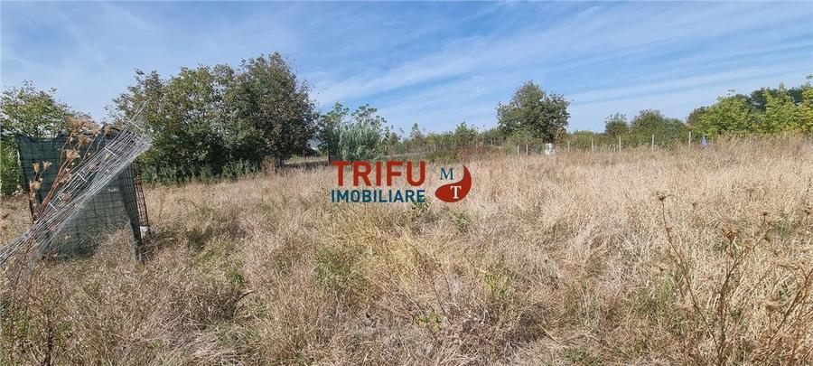 Teren Construcții intravilan de 1316 mp, în Partoș
